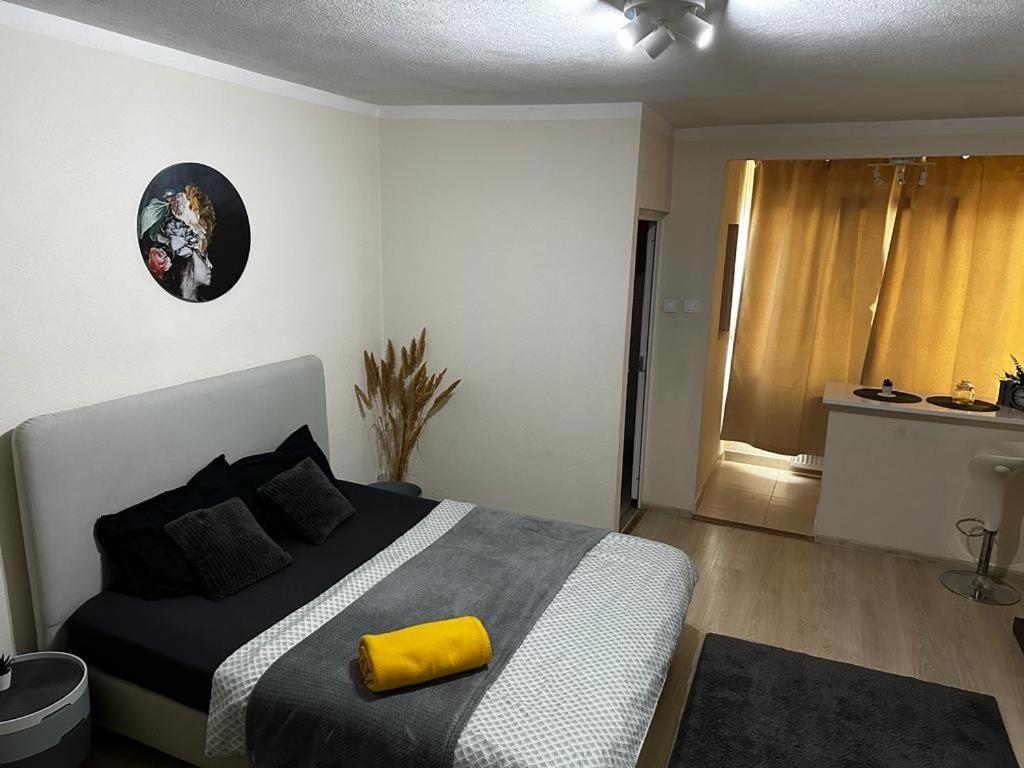 Reeas Apartament Timisoara Exterior photo