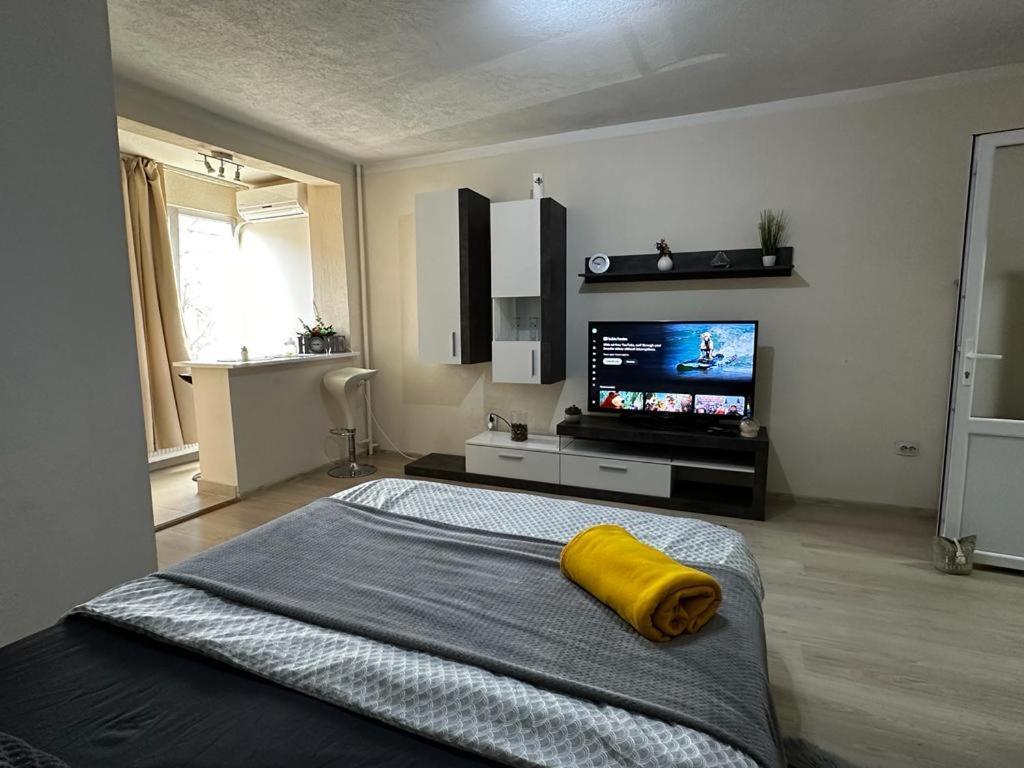 Reeas Apartament Timisoara Exterior photo