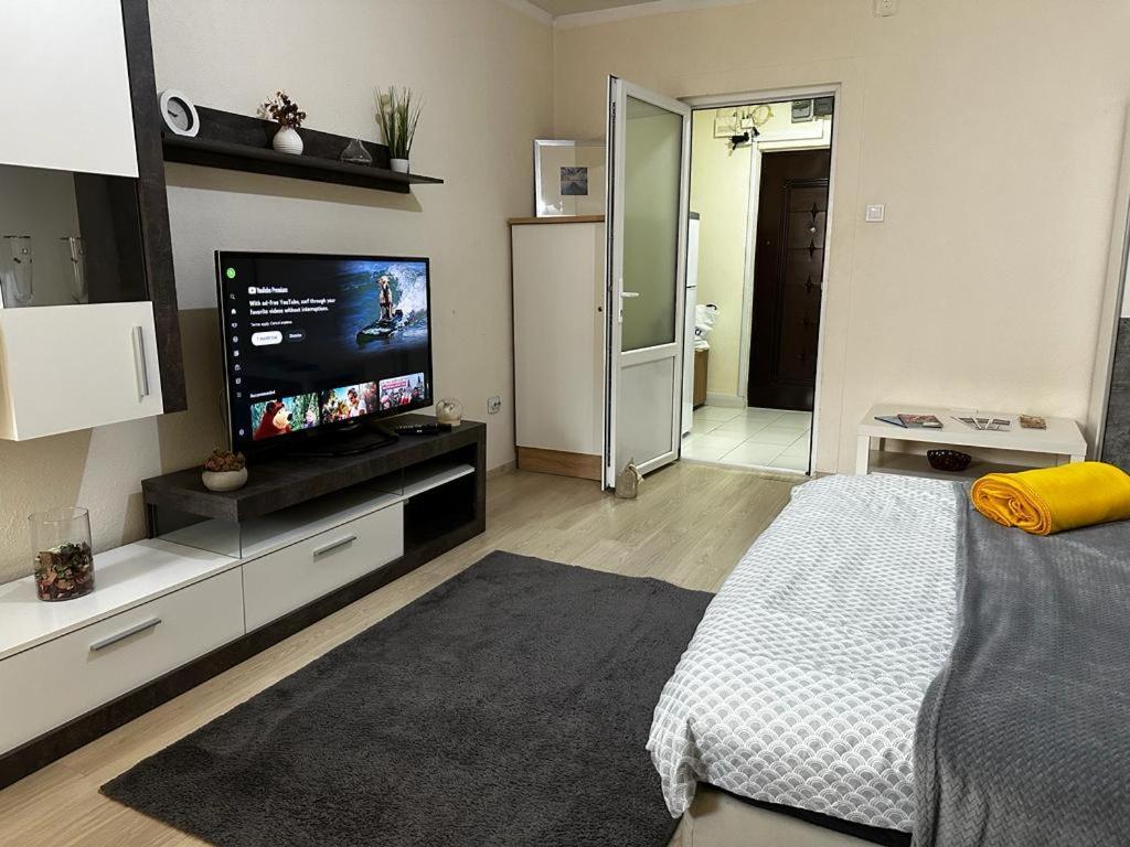 Reeas Apartament Timisoara Exterior photo