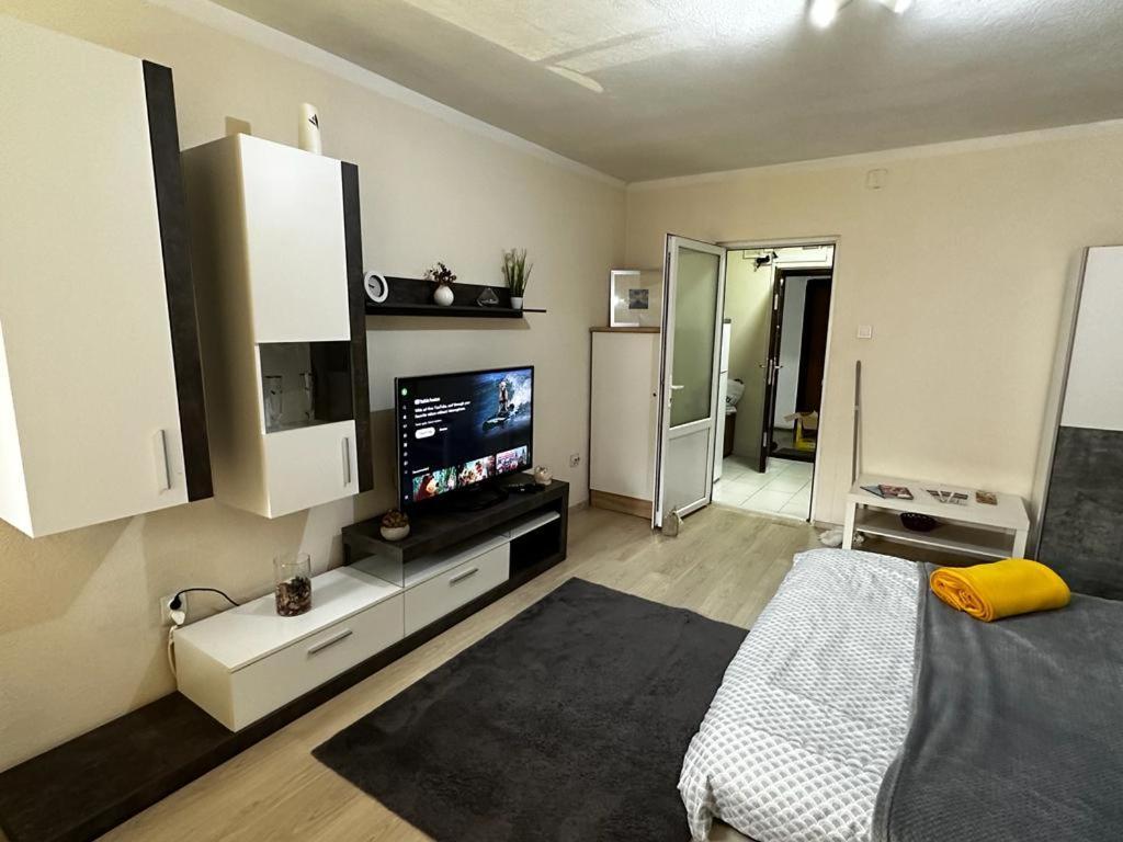 Reeas Apartament Timisoara Exterior photo