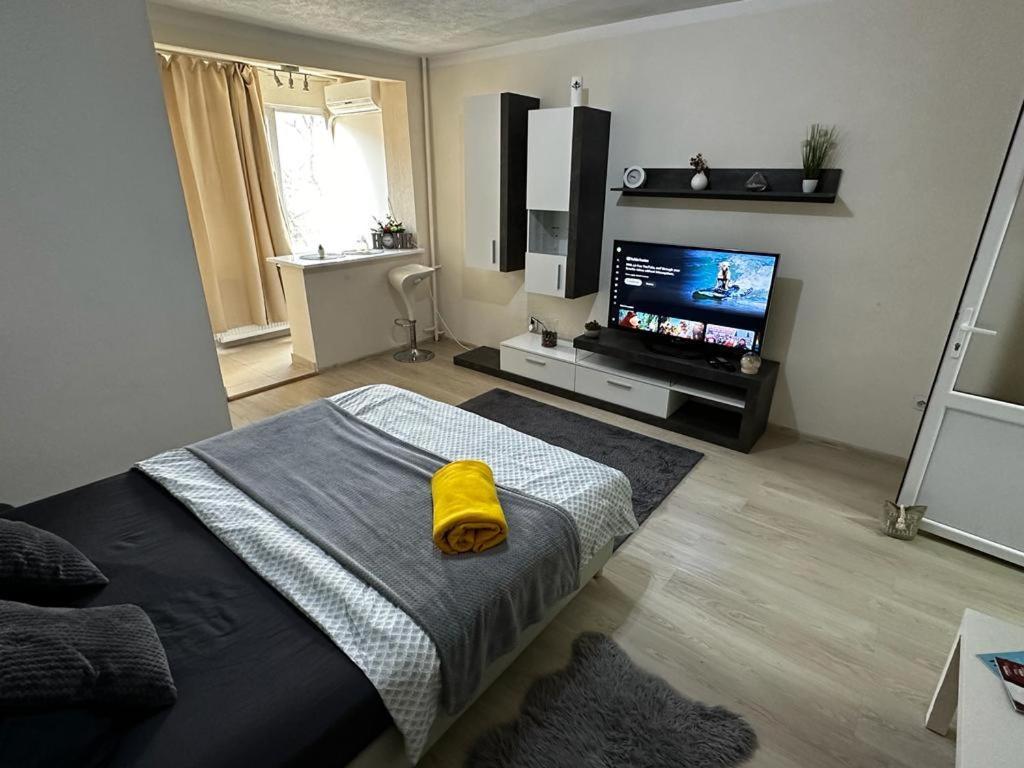 Reeas Apartament Timisoara Exterior photo