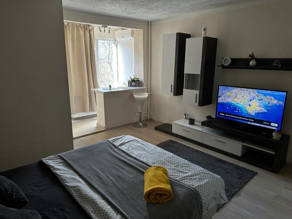 Reeas Apartament Timisoara Exterior photo