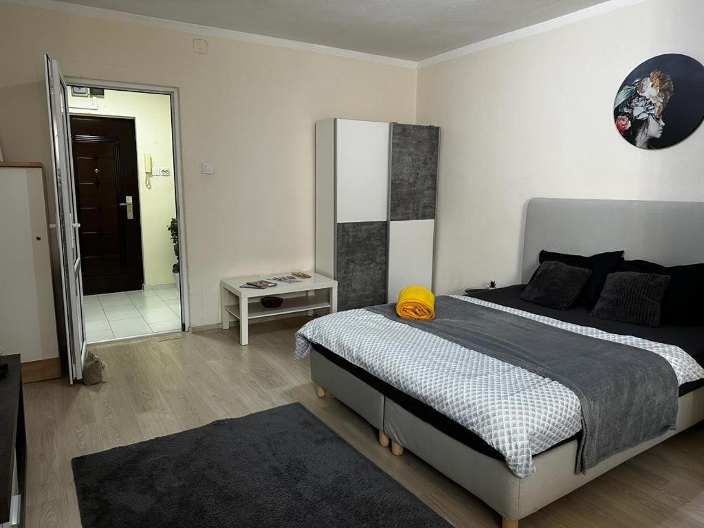 Reeas Apartament Timisoara Exterior photo